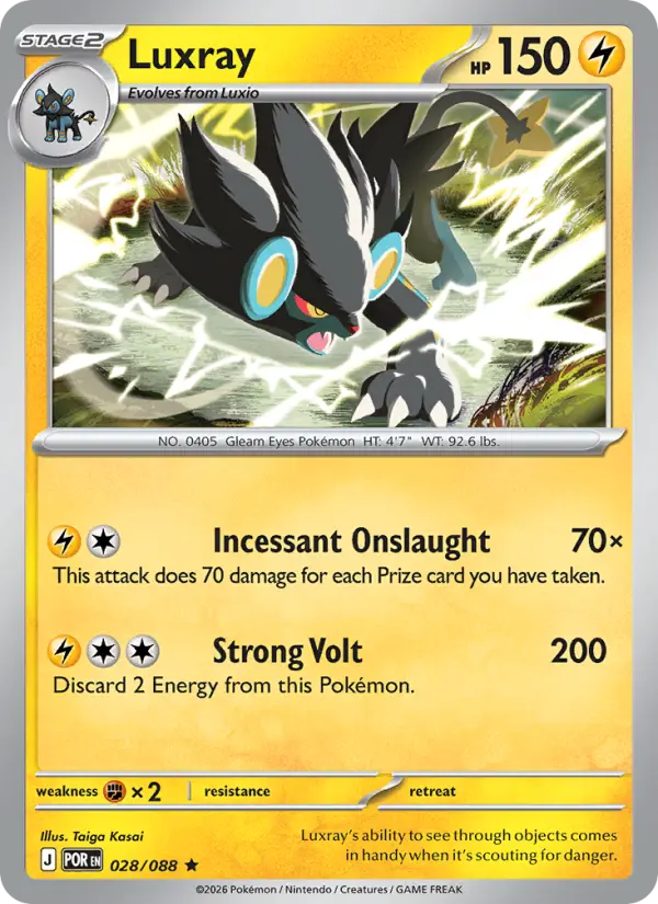 Luxray #028 — Perfect Order