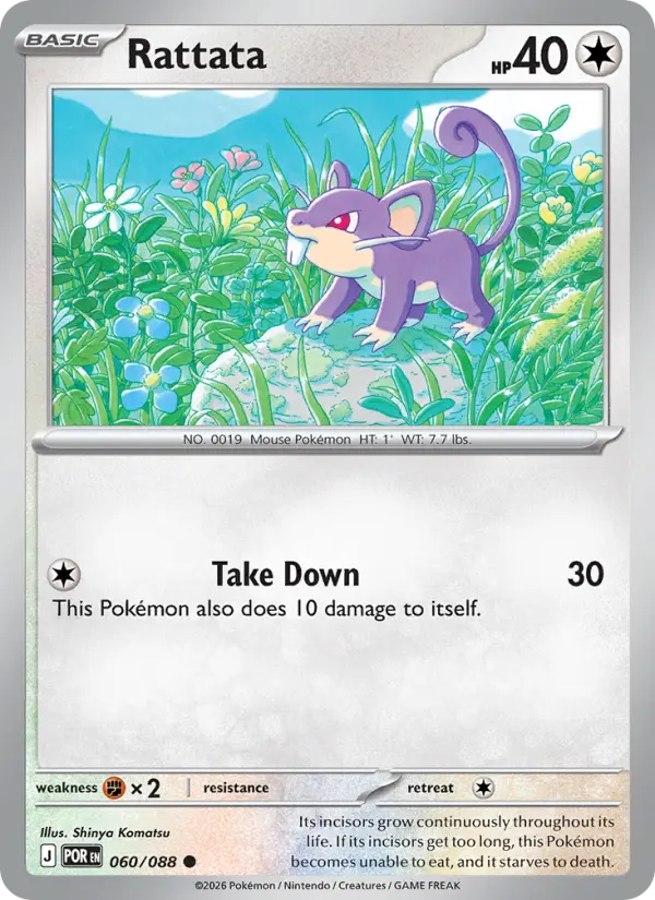 Rattata #060 — Perfect Order