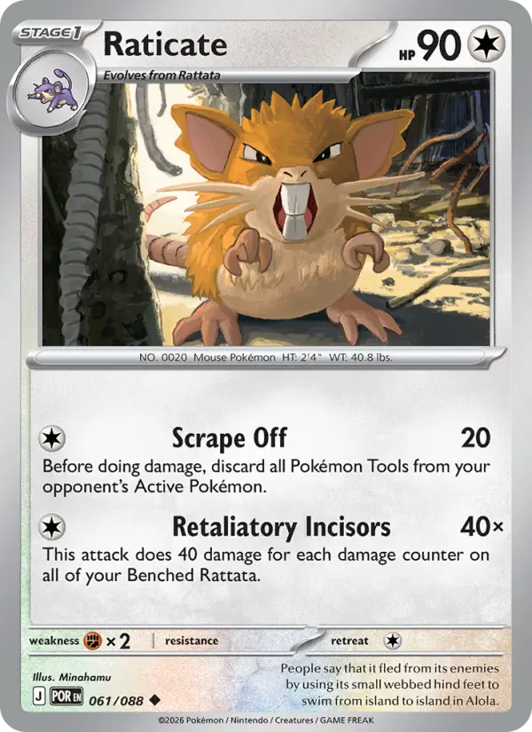 Raticate #061 — Perfect Order