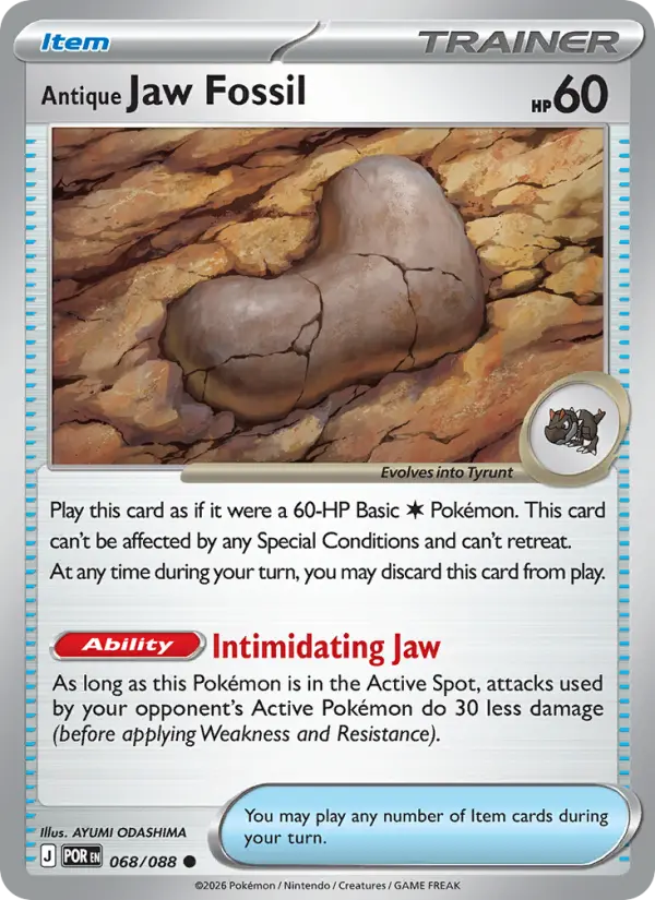Antique Jaw Fossil #068 — Perfect Order