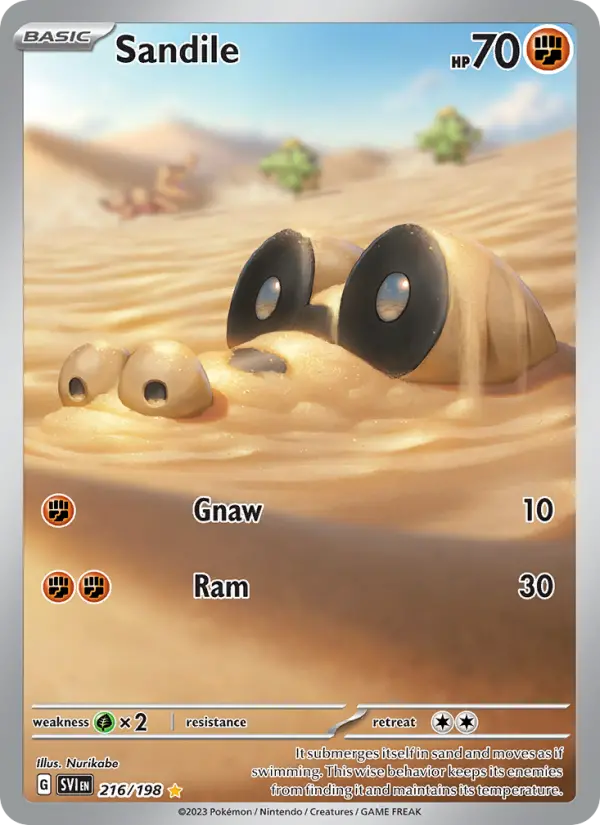 Sandile #216 — Scarlet & Violet