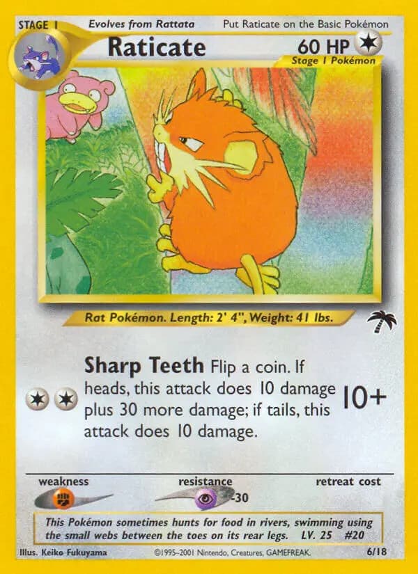 Raticate #6 — Southern Islands