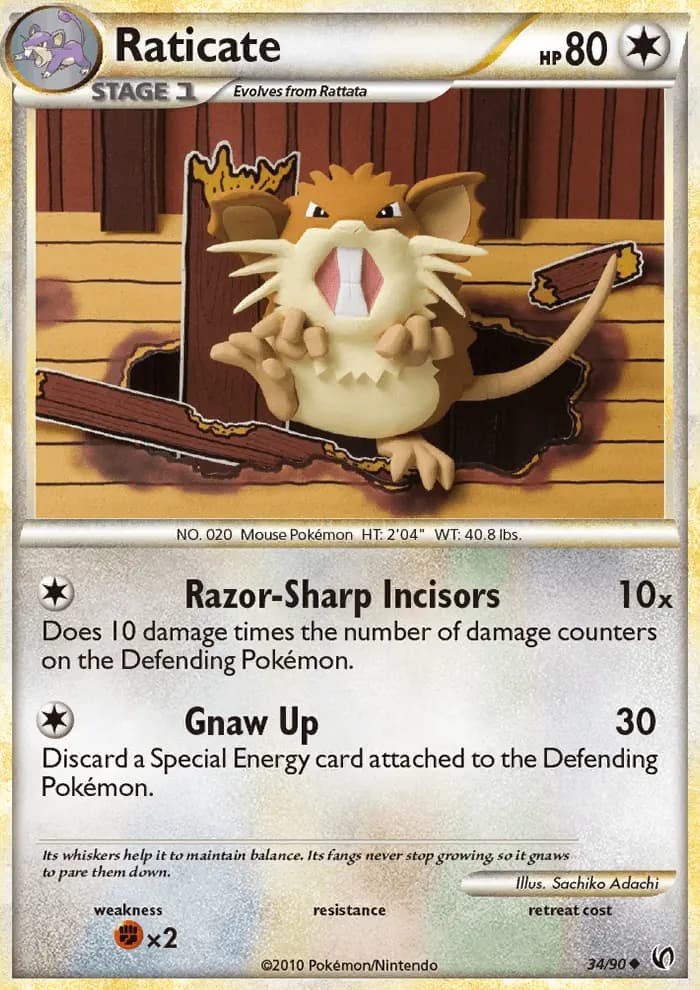 Raticate #34 — Undaunted