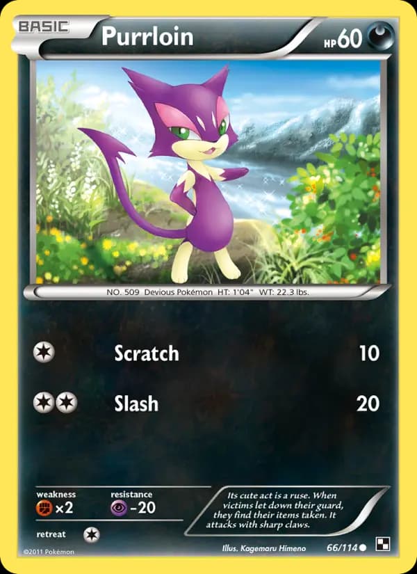 Purrloin #66 — Black & White