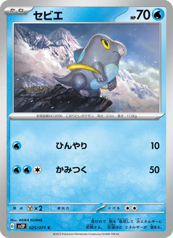 Carte Pokémon セビエ #025 — Snow Hazard