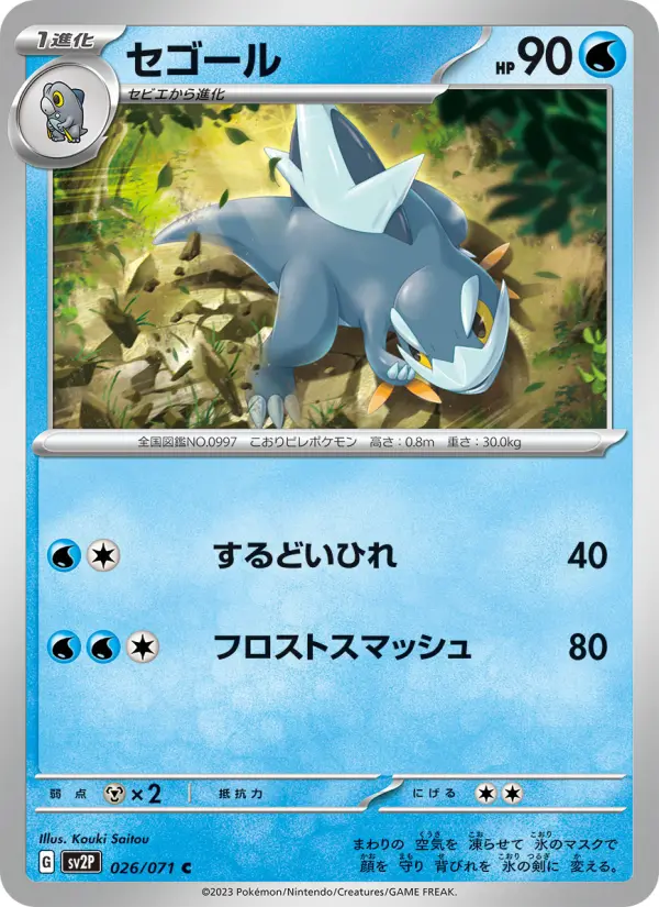 Carte Pokémon セゴール #026 — Snow Hazard