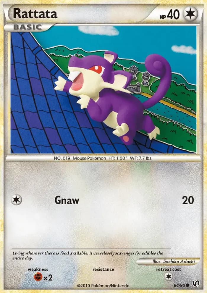 Rattata #64 — Undaunted