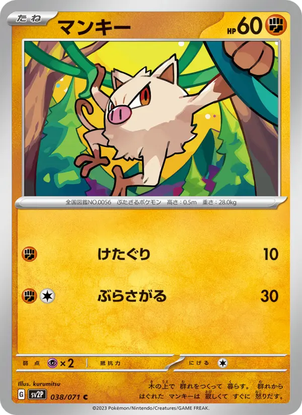 Carte Pokémon マンキー #038 — Snow Hazard