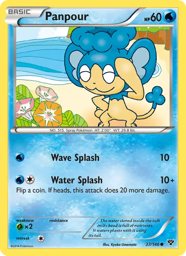 Panpour #37 — XY