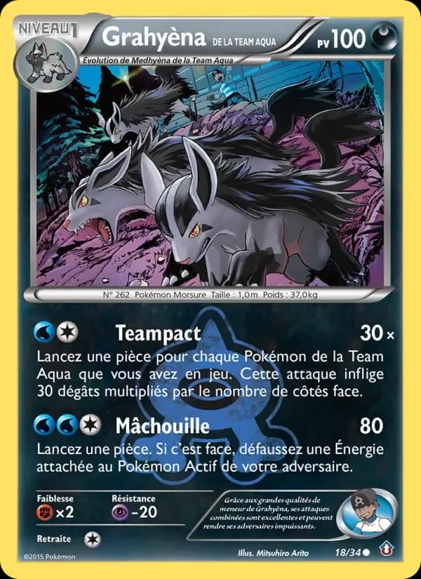 Carte Pokémon Grahyèna de la Team Aqua #18 — Double Danger