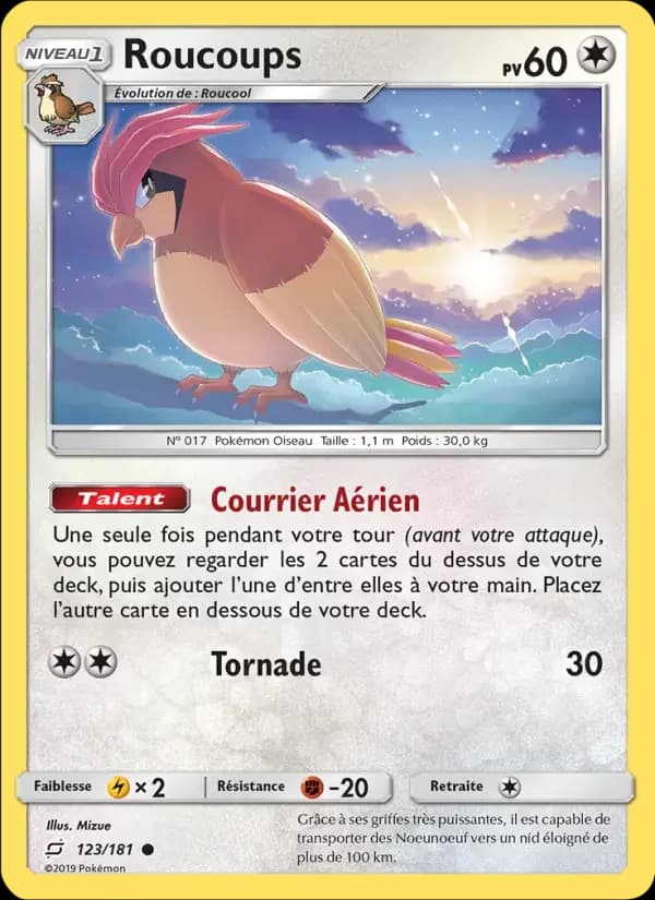 Carte Pokémon Roucoups #123 — Duo de Choc