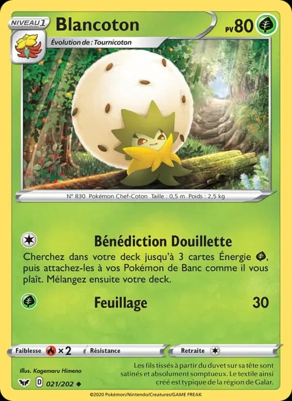 Carte Pokémon Blancoton #21 — Épée et Bouclier