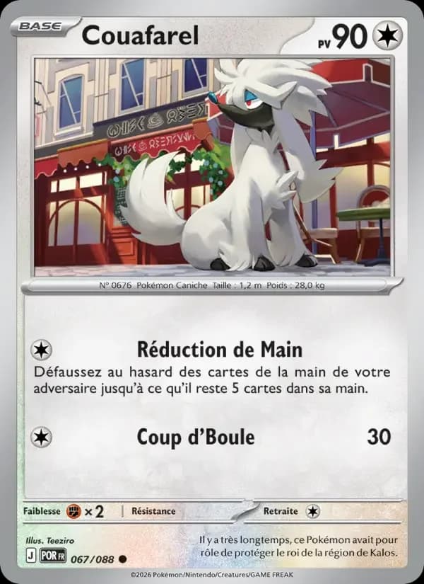 Carte Pokémon Couafarel #067 — Équilibre Parfait