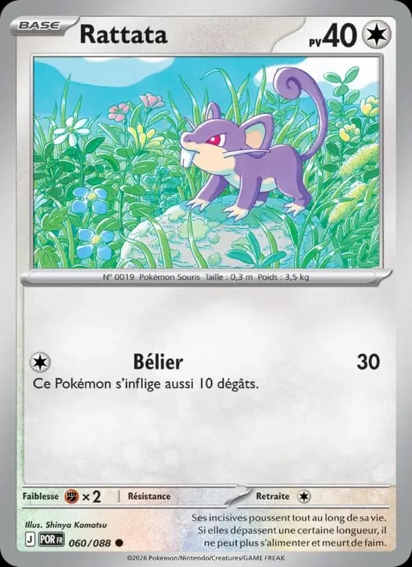 Carte Pokémon Rattata #060 — Équilibre Parfait