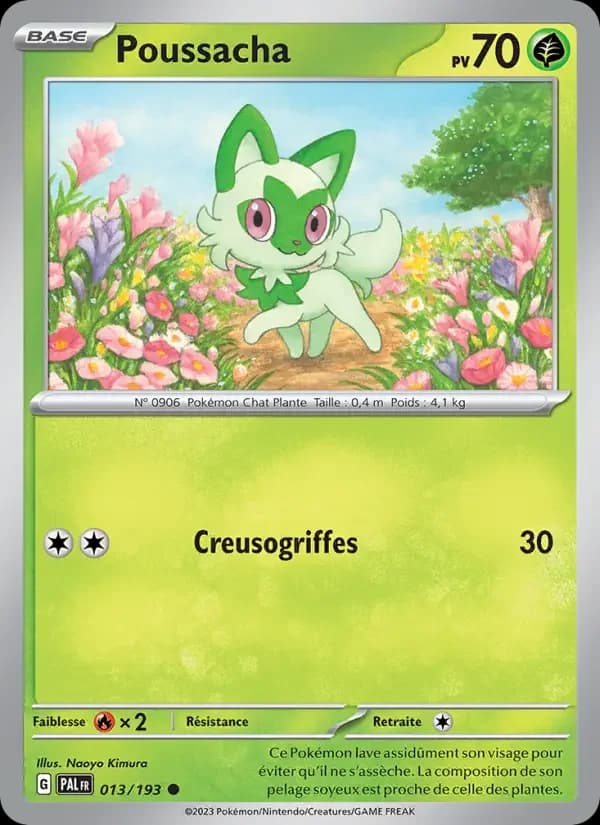 Carte Pokémon Poussacha #013 — Évolutions à Paldea
