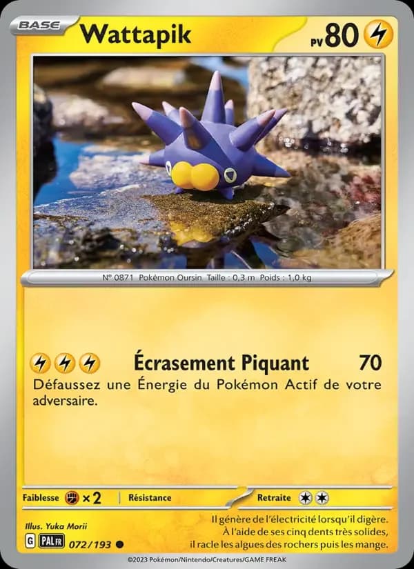 Carte Pokémon Wattapik #072 — Évolutions à Paldea