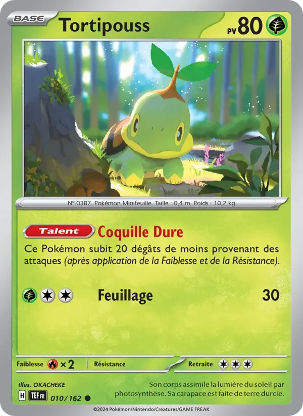 Carte Pokémon Tortipouss #010 — Forces Temporelles