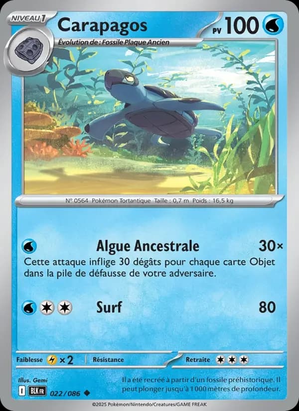 Carte Pokémon Carapagos #022 — Foudre Noire