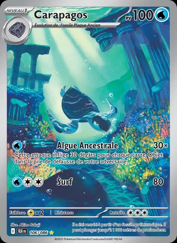 Carte Pokémon Carapagos #106 — Foudre Noire