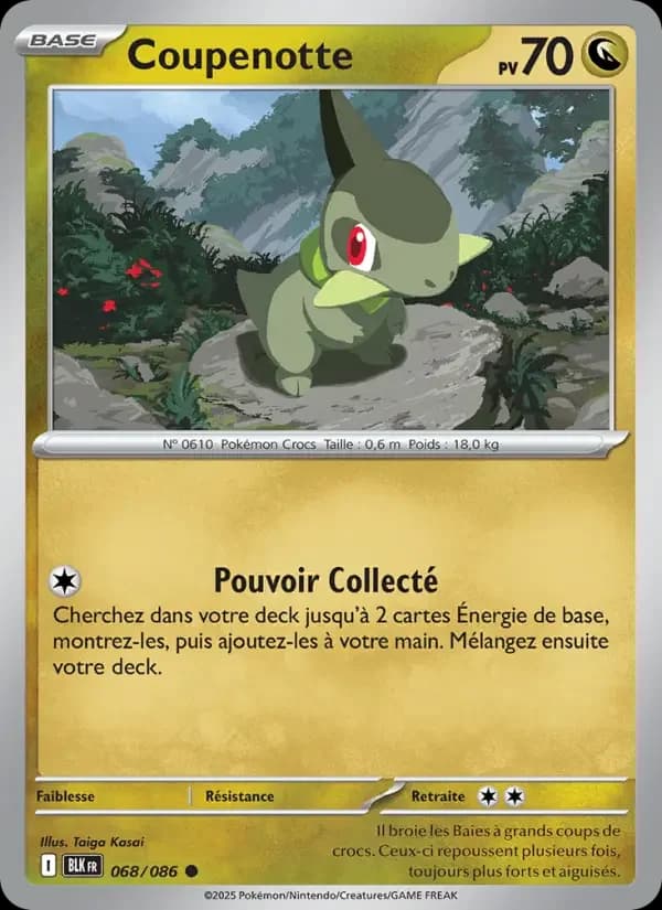 Carte Pokémon Coupenotte #068 — Foudre Noire
