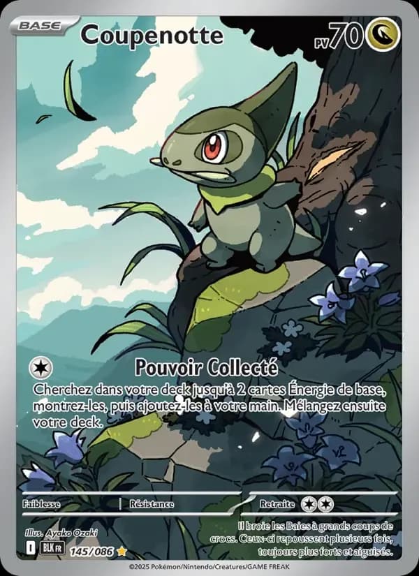 Carte Pokémon Coupenotte #145 — Foudre Noire