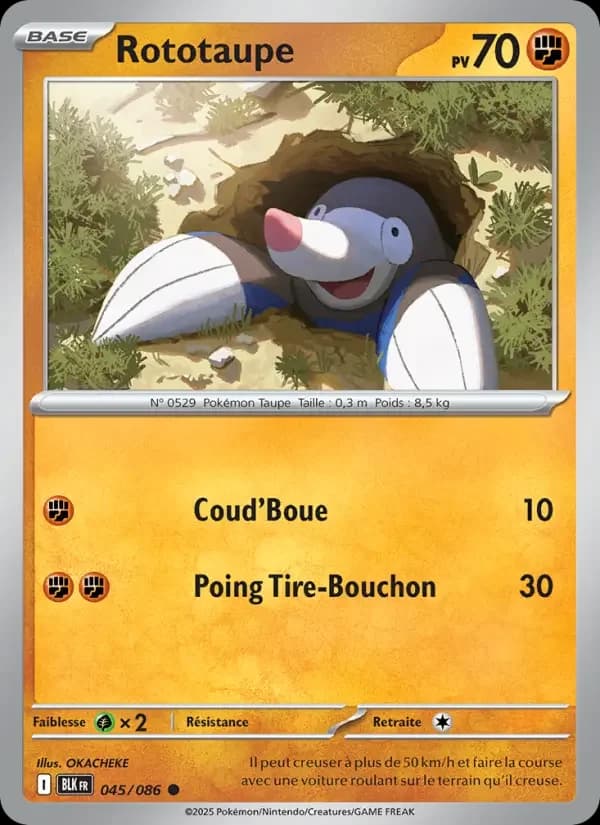 Carte Pokémon Rototaupe #045 — Foudre Noire