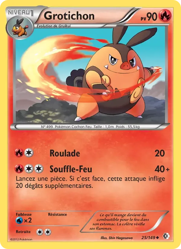 Carte Pokémon Grotichon #25 — Frontières Franchies