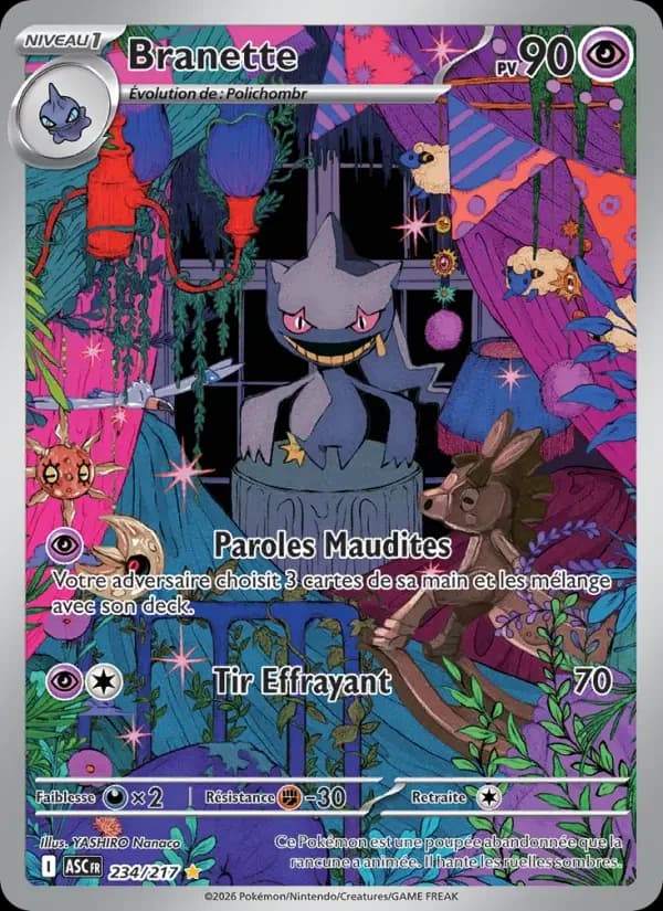 Carte Pokémon Branette #234 — Héros Transcendants