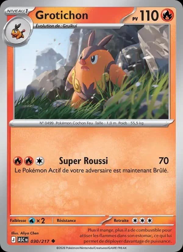 Carte Pokémon Grotichon #030 — Héros Transcendants