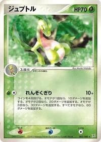 Carte Pokémon Grovyle #005 — Magma VS Aqua: Two Ambitions