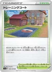 Carte Pokémon Training Court #069 — VMAX Rising
