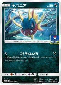 Carte Pokémon Carvanha #300 — SM-P Promotional cards