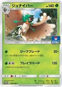 Carte Pokémon Decidueye #028 — SM-P Promotional cards