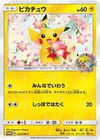 Carte Pokémon Pikachu #224 — SM-P Promotional cards