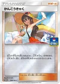 Carte Pokémon Sightseer #308 — SM-P Promotional cards
