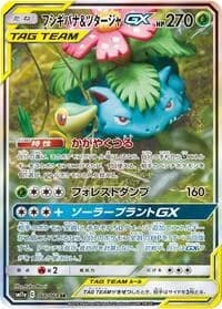 Carte Pokémon Venusaur & Snivy #066 — Remix Bout