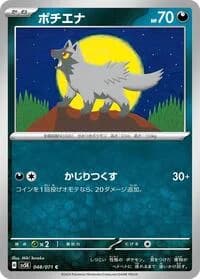Carte Pokémon Poochyena #048 — Wild Force
