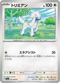 Carte Pokémon Furfrou #051 — Night Wanderer