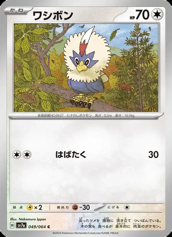 Carte Pokémon ワシボン #049 — Paradise Dragona