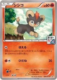Carte Pokémon Litleo - 081/XY-P #081 — XY Promos