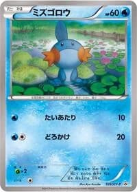 Carte Pokémon Mudkip - 109/XY-P #109 — XY Promos