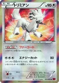 Carte Pokémon Furfrou #053 — Collection Y