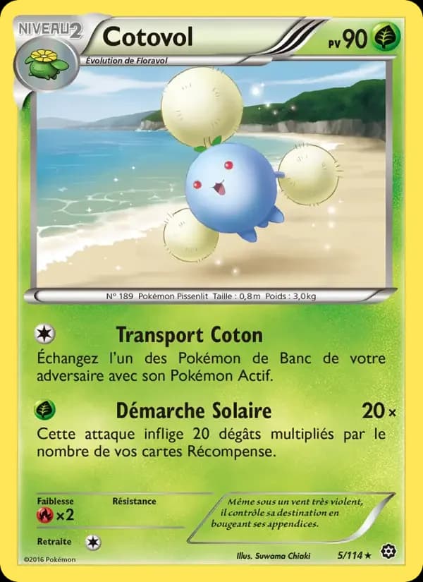 Carte Pokémon Cotovol #5 — Offensive Vapeur