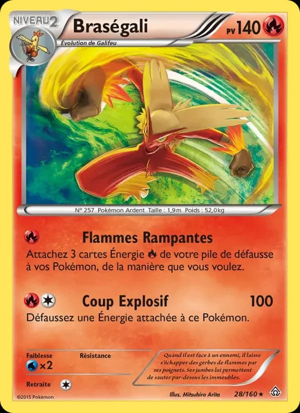 Carte Pokémon Braségali #28 — Primo-Choc