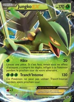 Carte Pokémon Jungko EX #XY53 — Promos X&Y