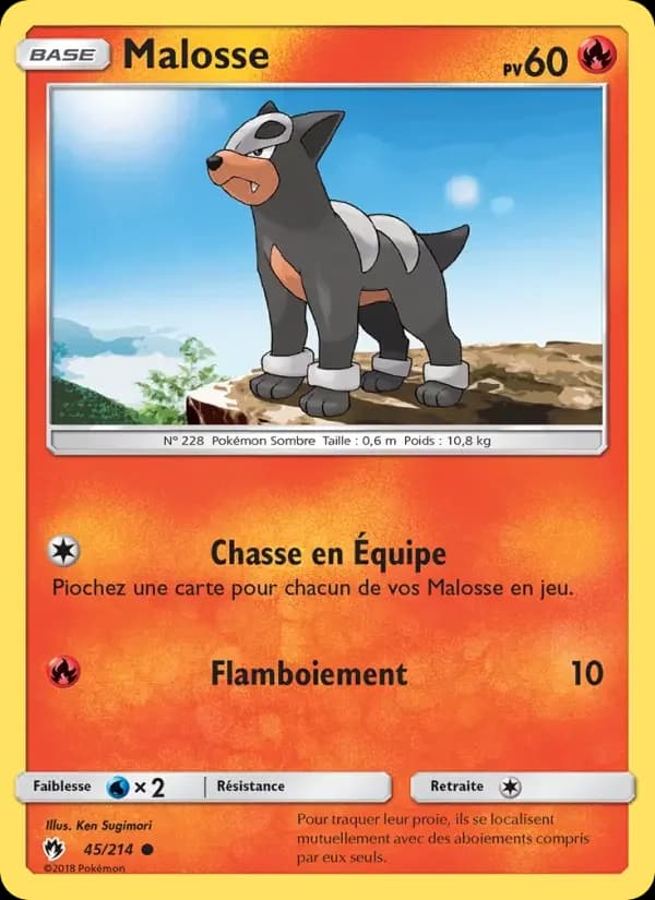 Carte Pokémon Malosse #45 — Tonnerre Perdu