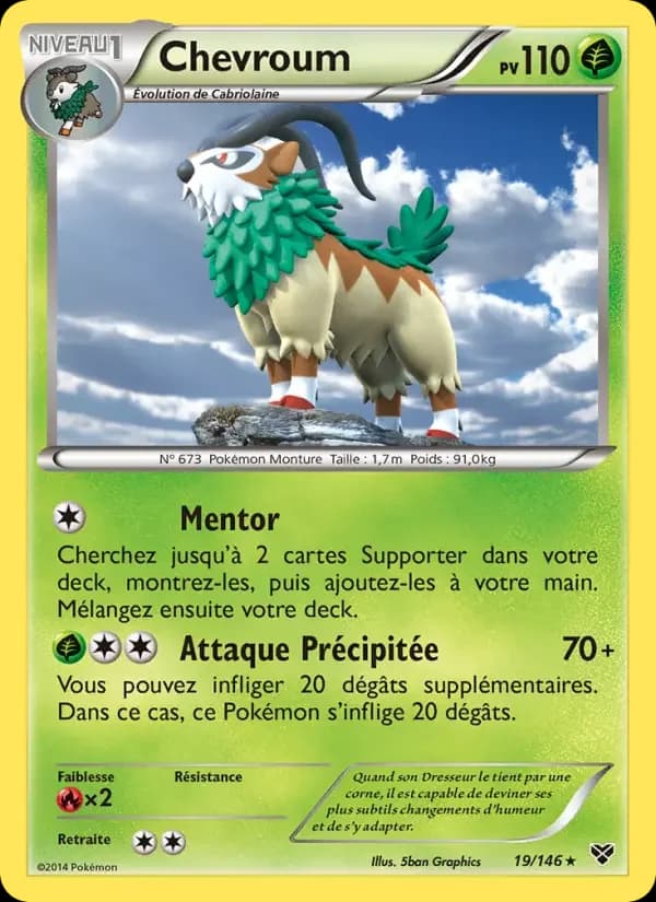Carte Pokémon Chevroum #19 — XY