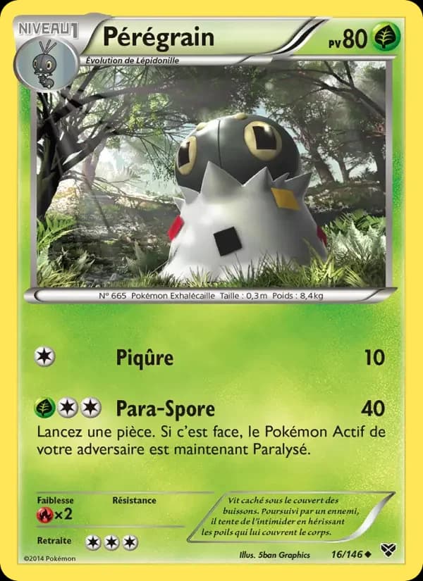 Carte Pokémon Pérégrain #16 — XY